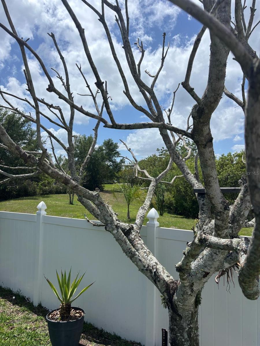 1034 BELLA VIDA BLVD, ORLANDO, FL — photo 48