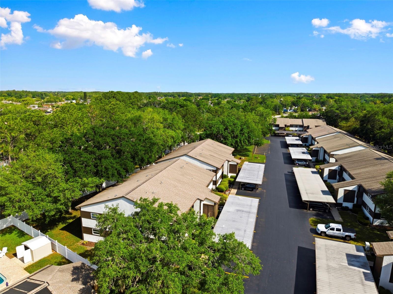 4101 PASSPORT LN #203, NEW PORT RICHEY, FL — photo 44