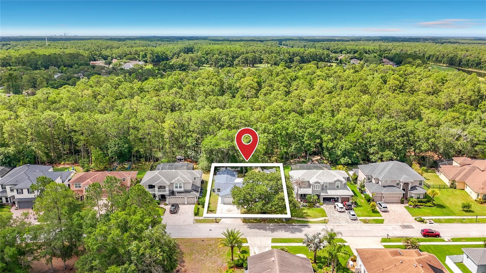 12912 STARLING DR, ODESSA, FL