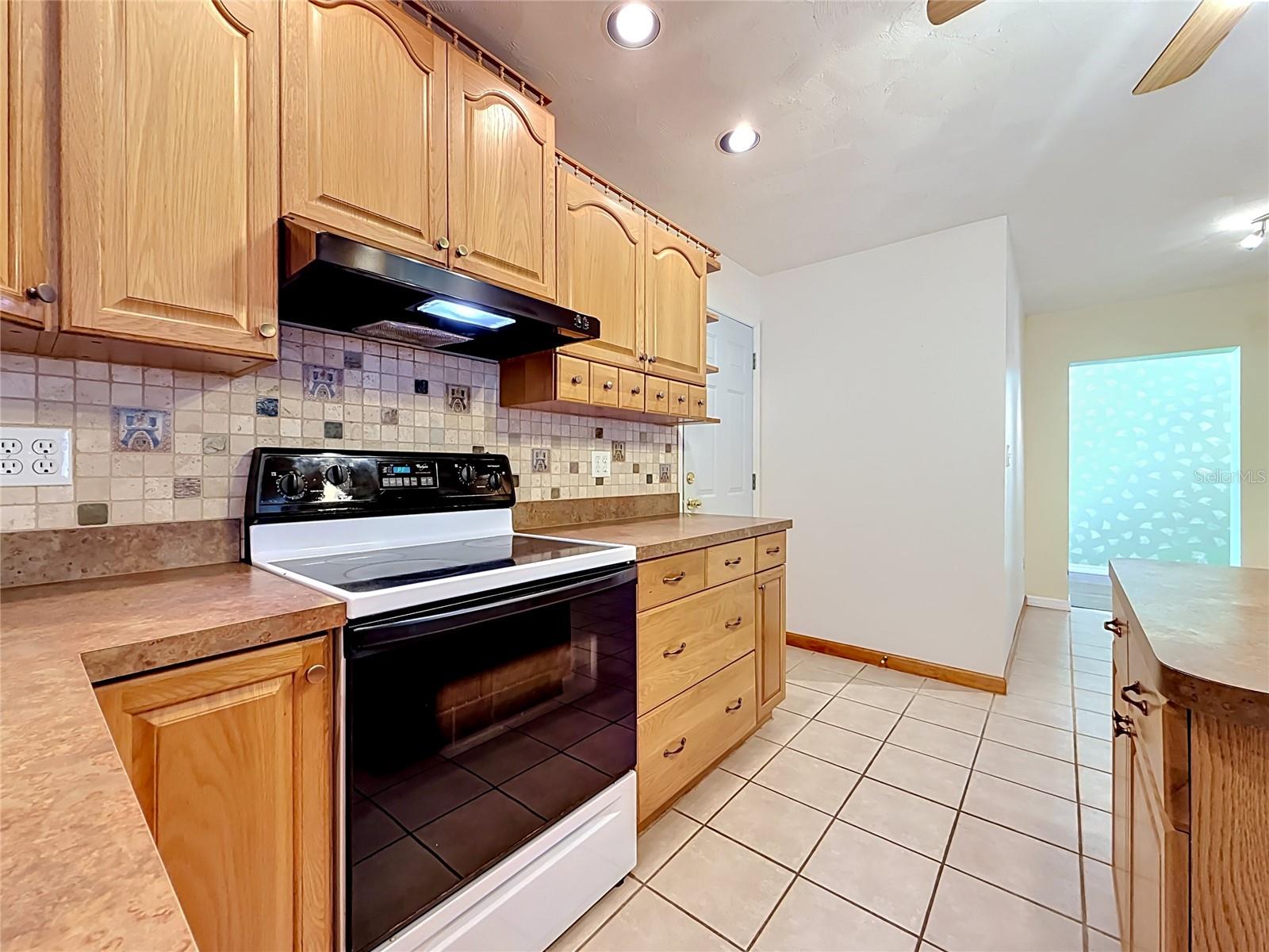 12912 STARLING DR, ODESSA, FL — photo 19