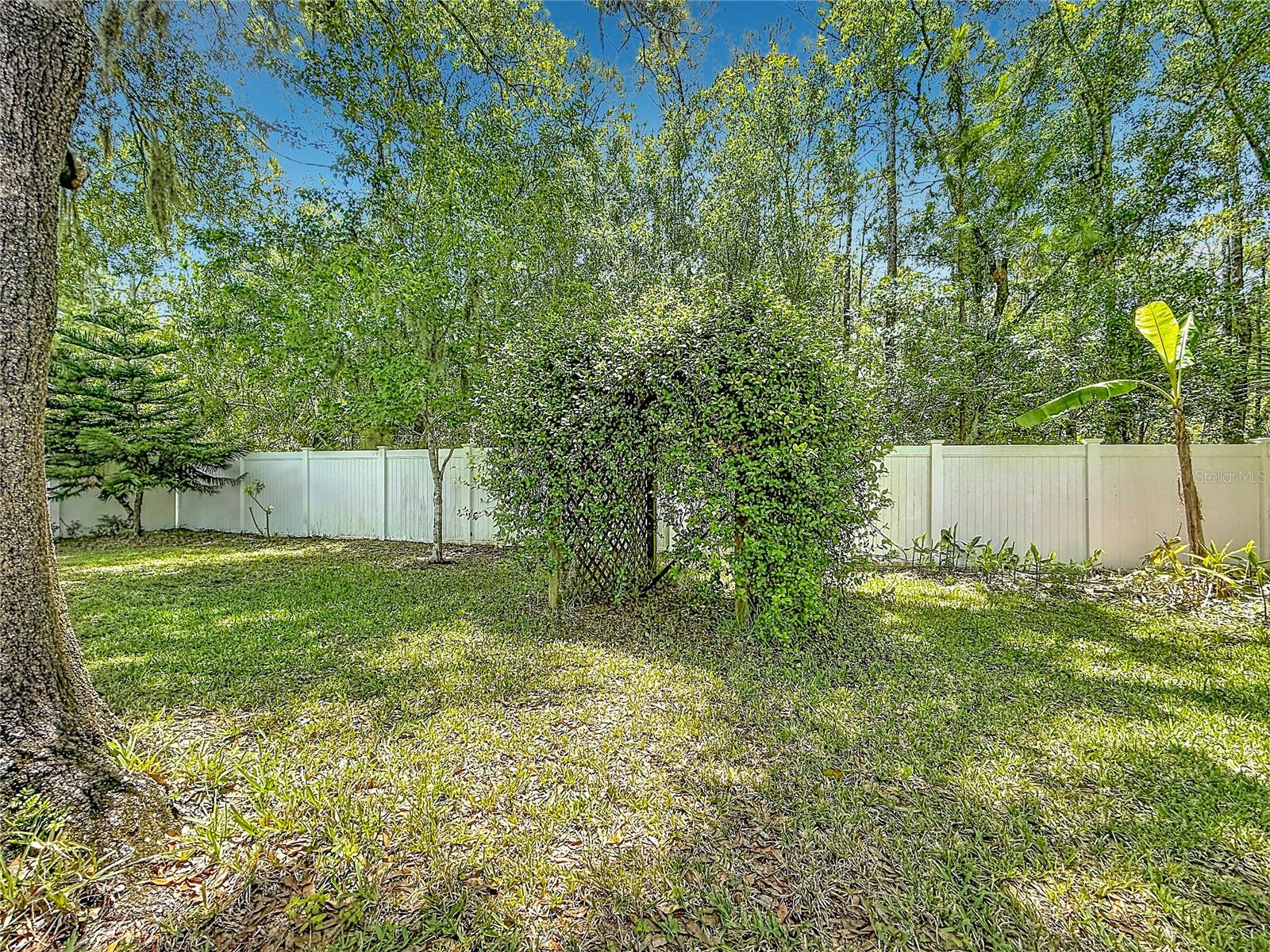 12912 STARLING DR, ODESSA, FL — photo 61