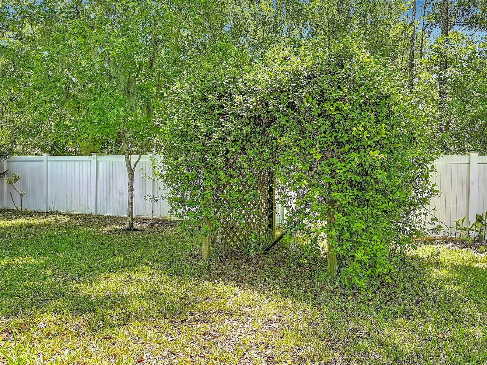 12912 STARLING DR, ODESSA, FL — photo 62