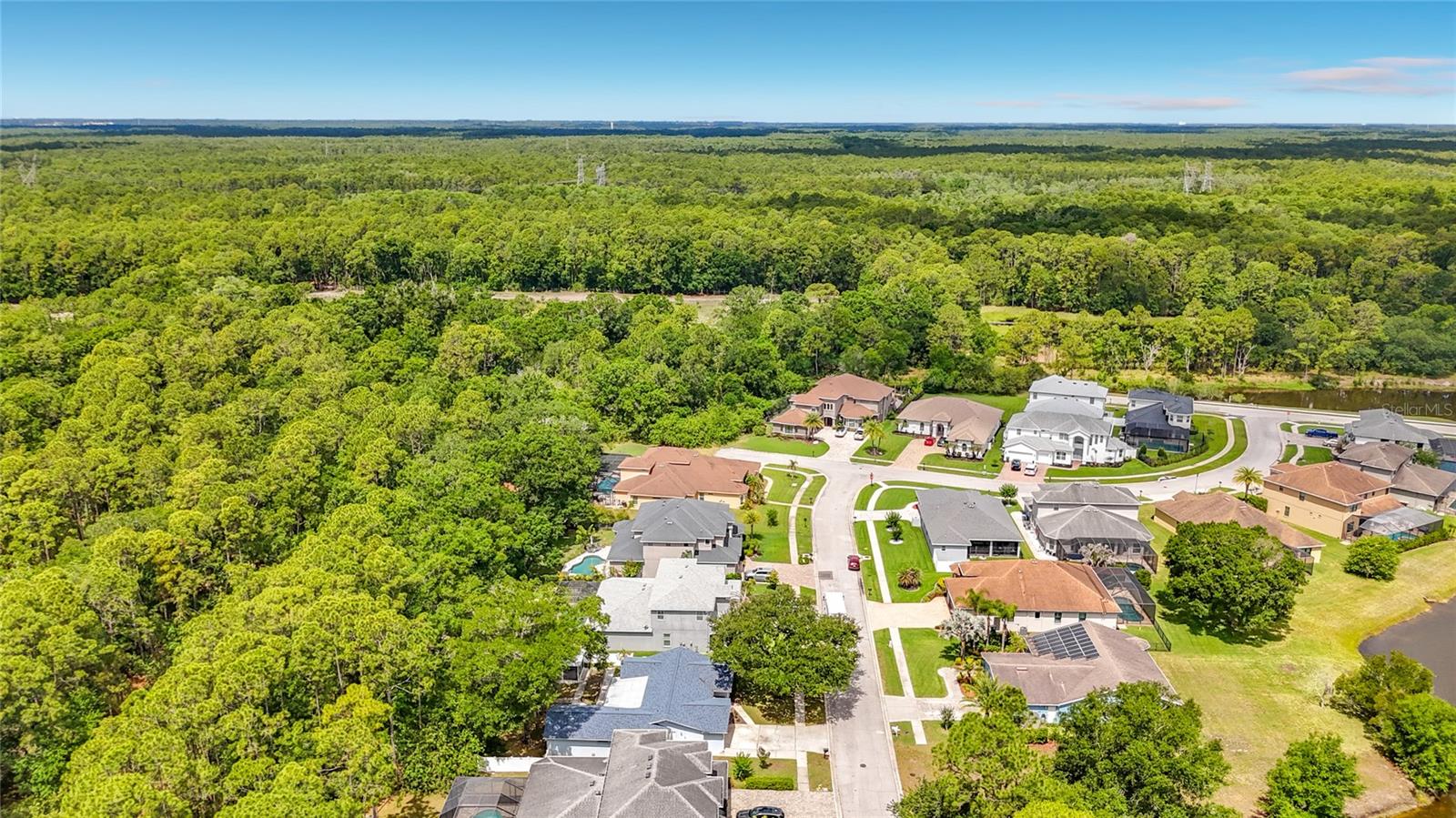 12912 STARLING DR, ODESSA, FL — photo 68