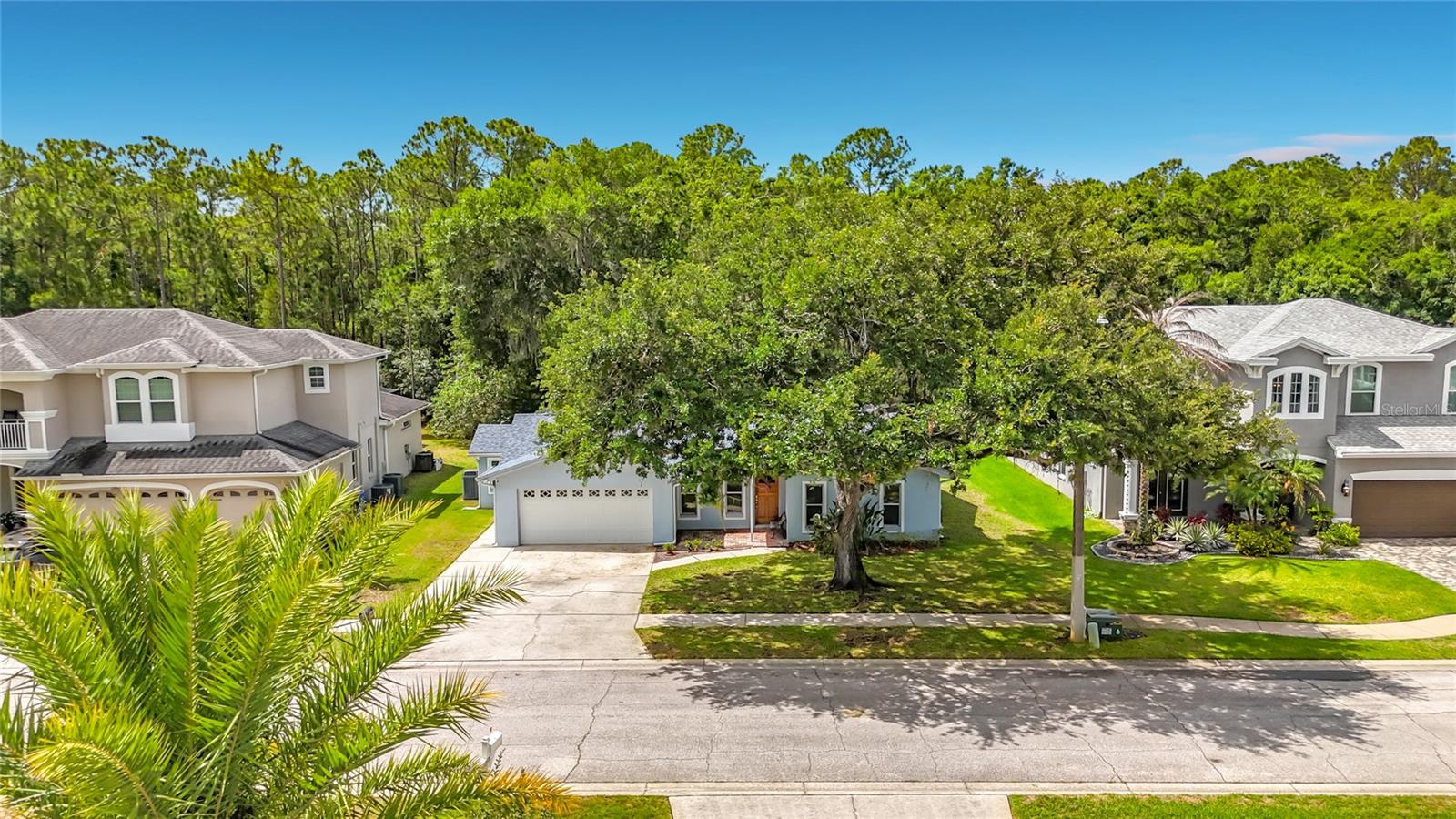 12912 STARLING DR, ODESSA, FL — photo 78