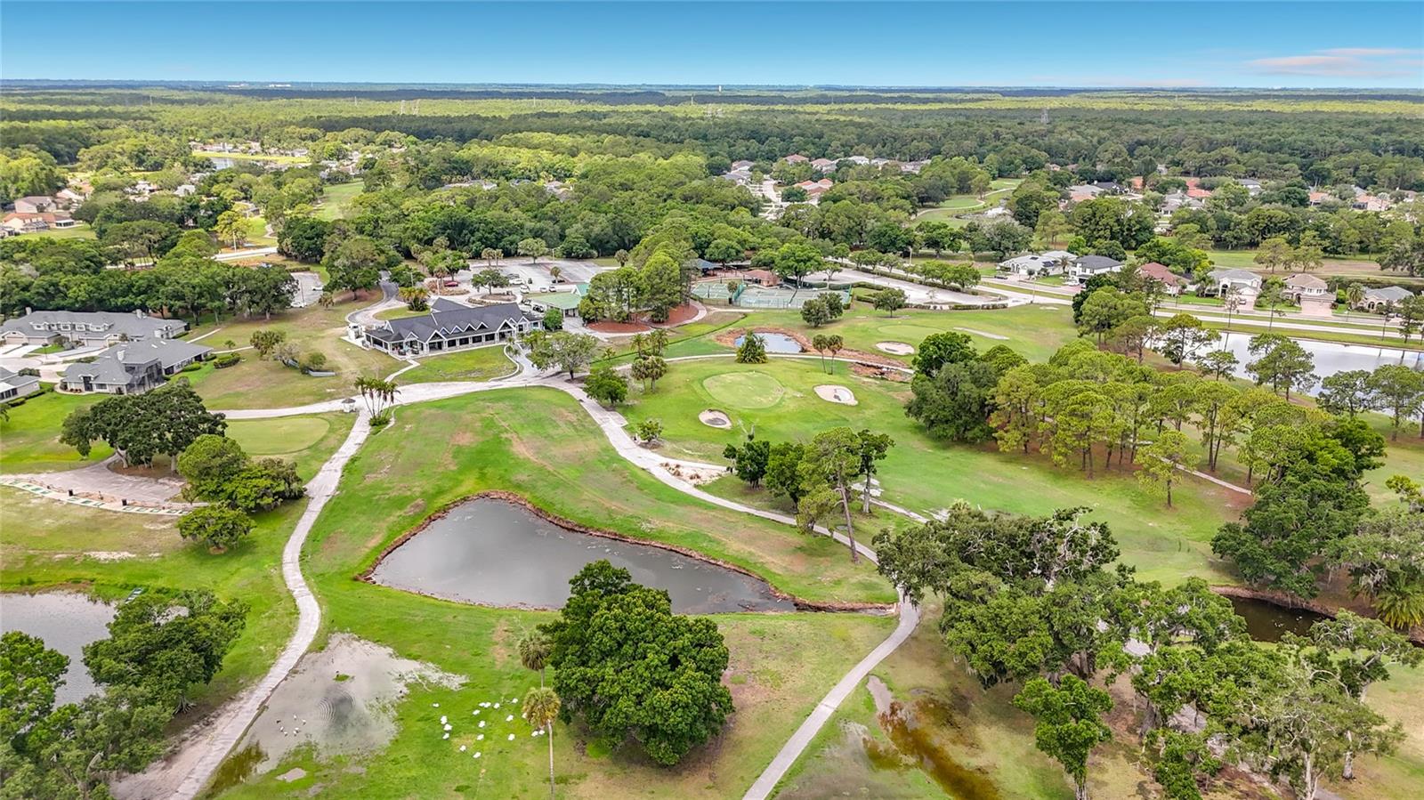 12912 STARLING DR, ODESSA, FL — photo 81