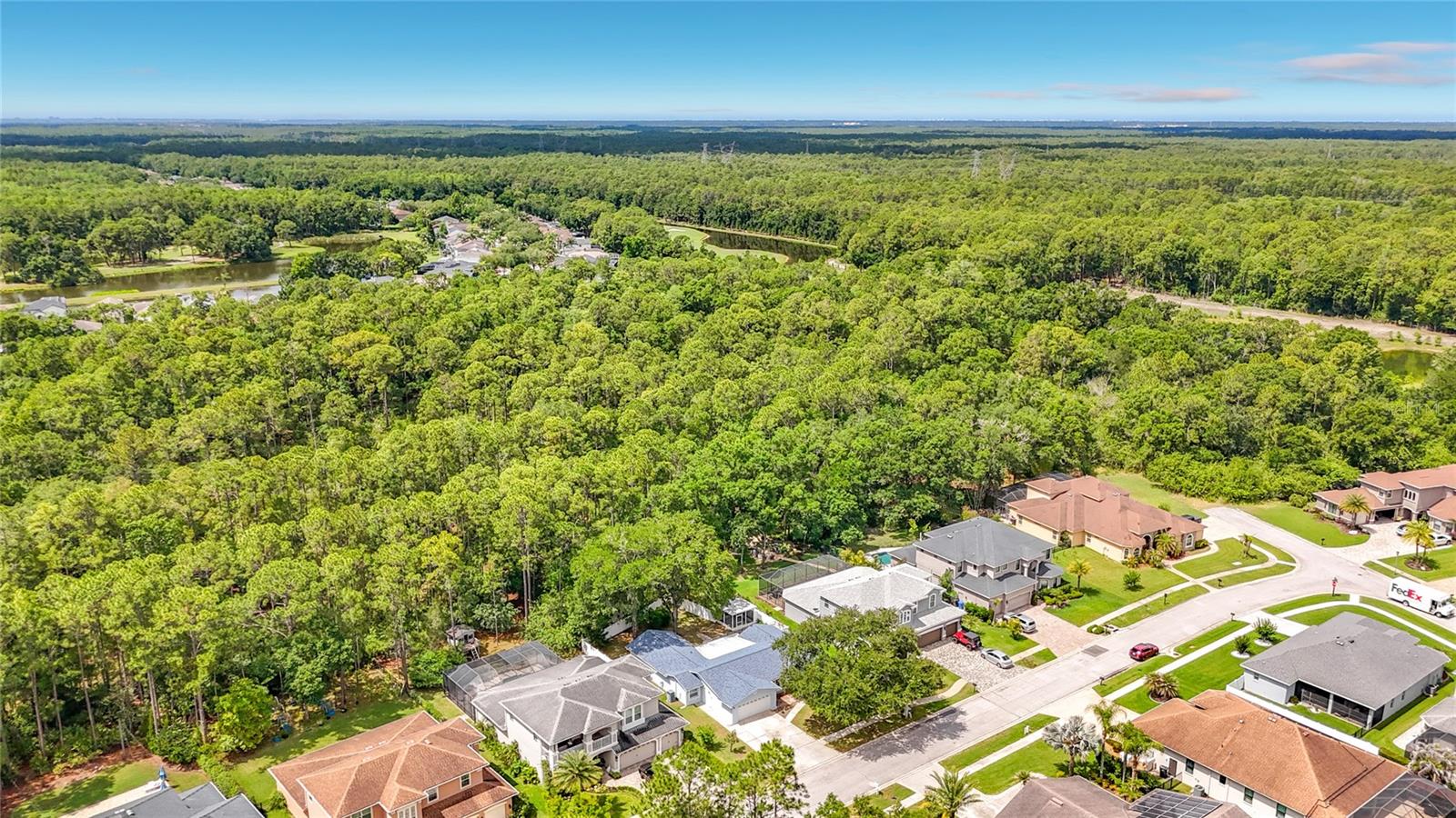 12912 STARLING DR, ODESSA, FL — photo 85