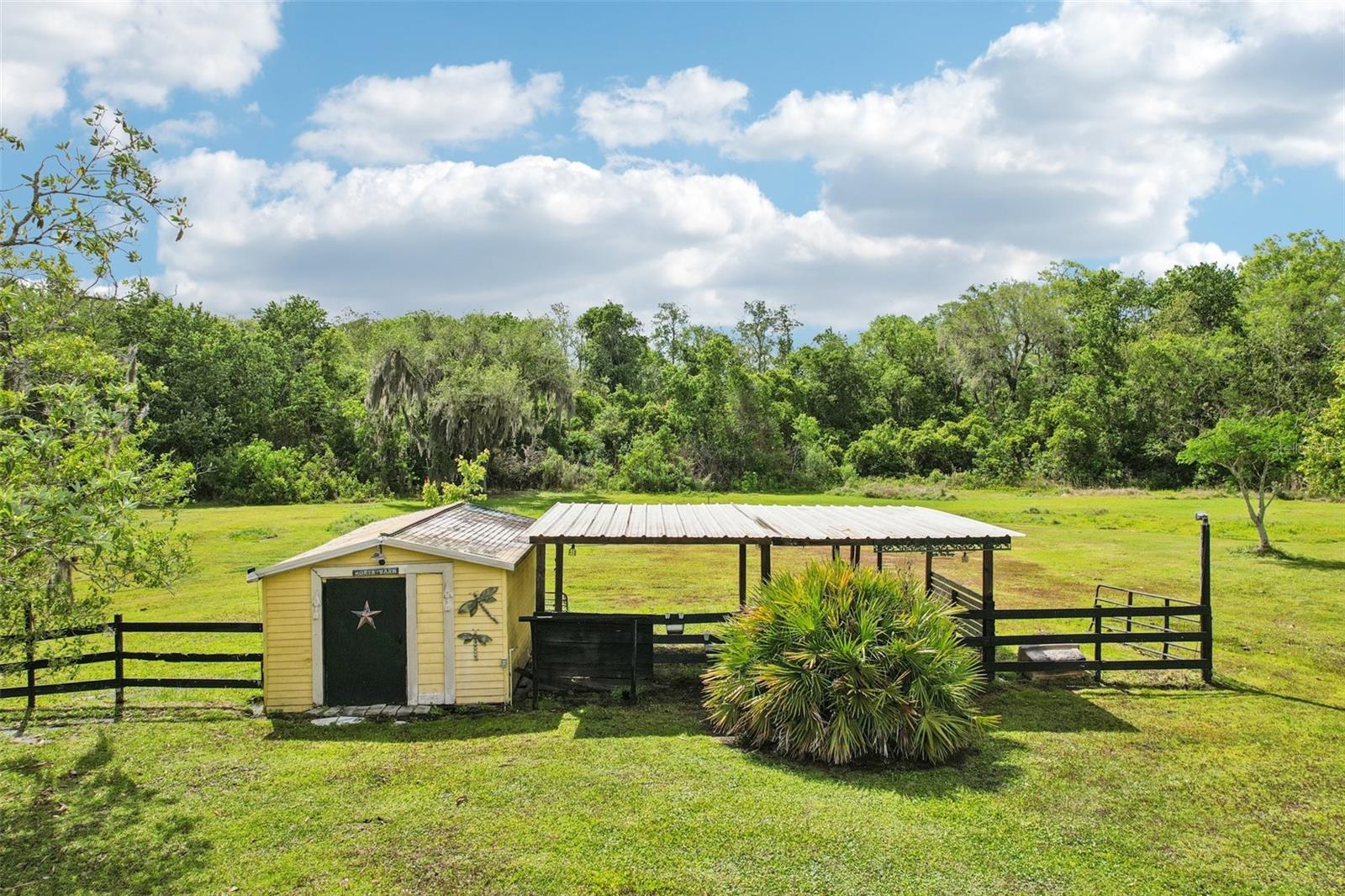 3954 MCCLELLAND RD, ST CLOUD, FL — photo 70