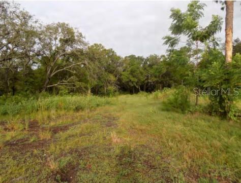 5001 WHIPPOORWILL DR, HOLIDAY, FL — photo 4