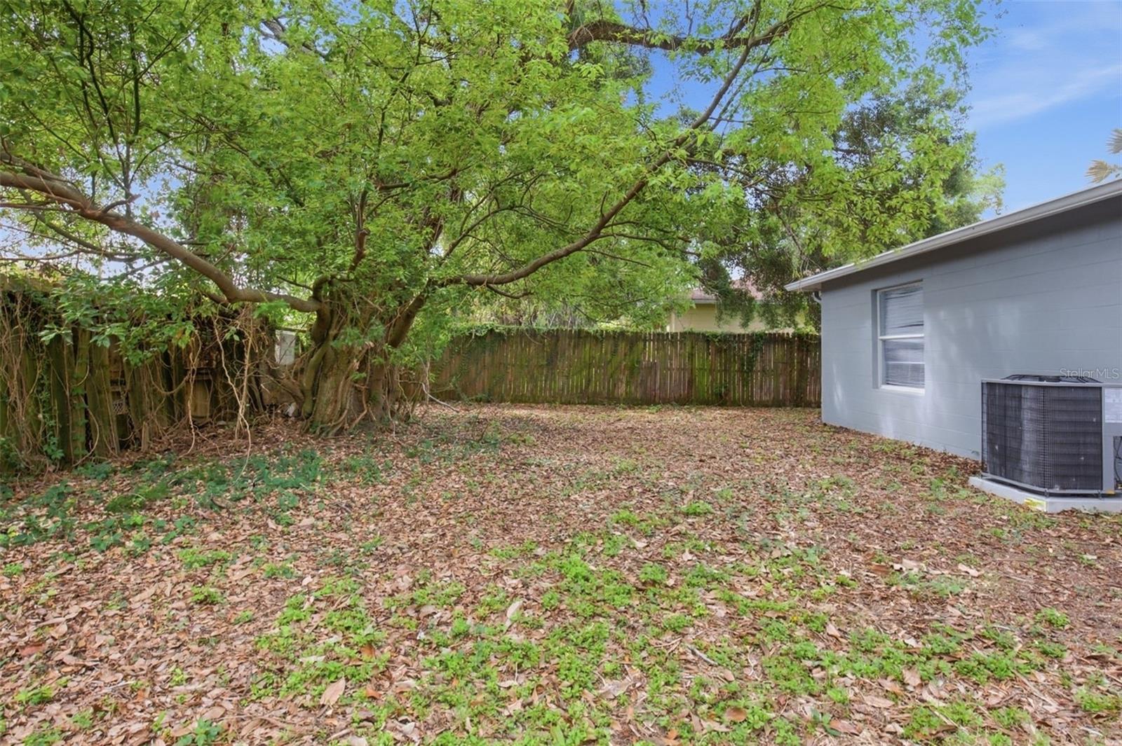 8309 N 12TH ST, TAMPA, FL — photo 20