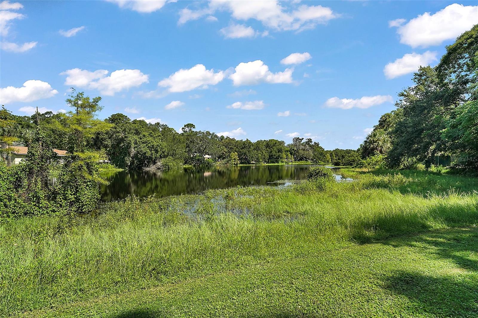 705 SUMMIT CT, MOUNT DORA, FL — photo 70