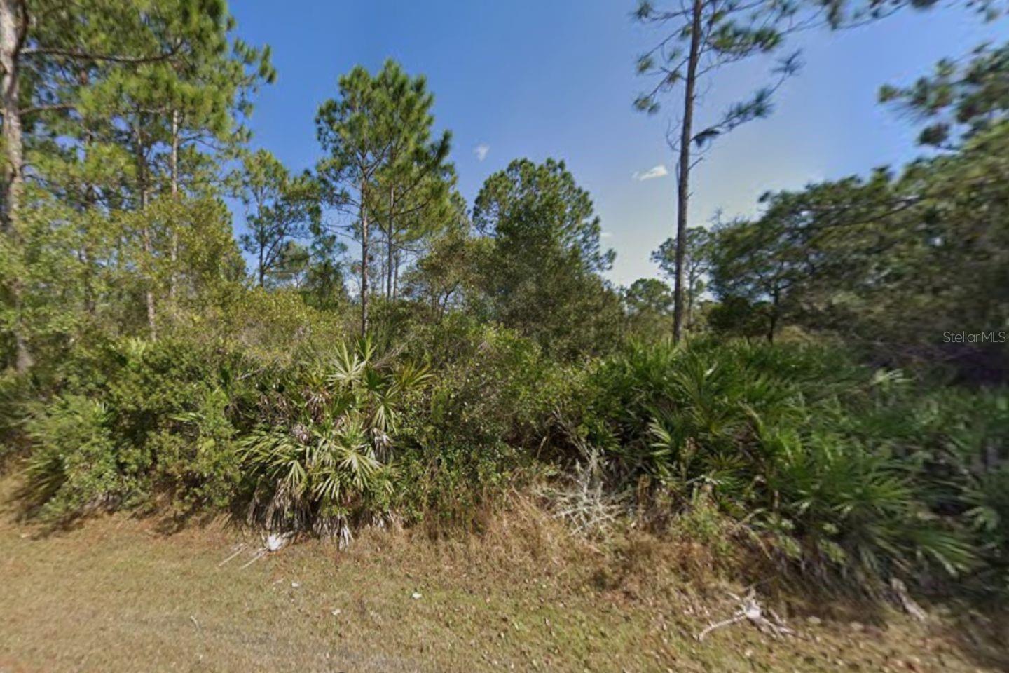 29 ULMACEAL PATH, PALM COAST, FL — photo 3