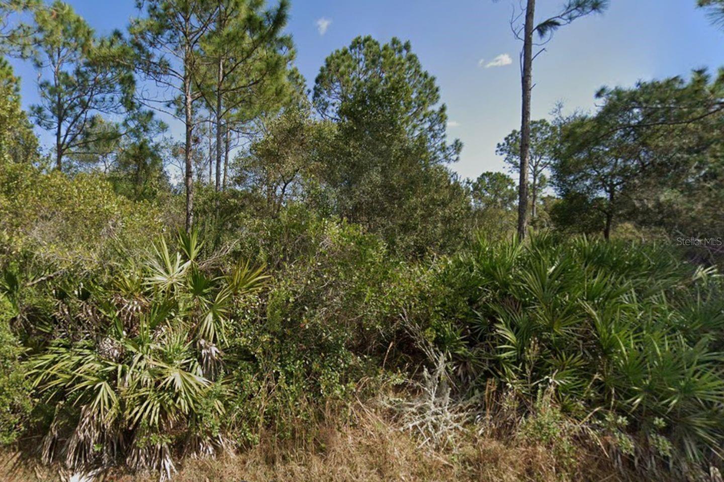 29 ULMACEAL PATH, PALM COAST, FL — photo 4