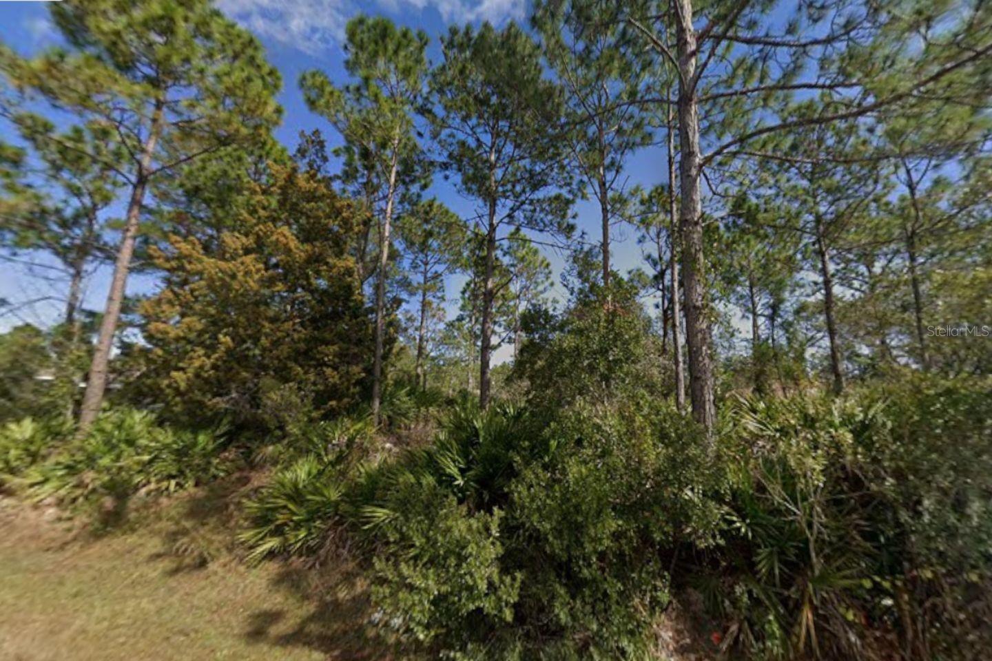25 ULMACEAL PATH, PALM COAST, FL — photo 4