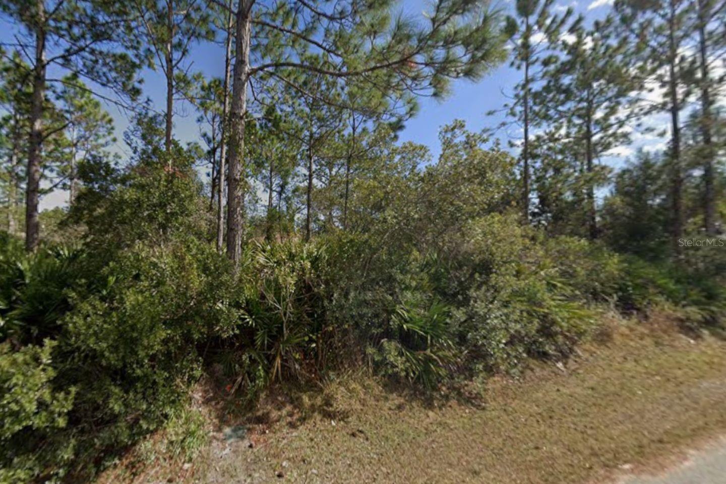 25 ULMACEAL PATH, PALM COAST, FL — photo 5