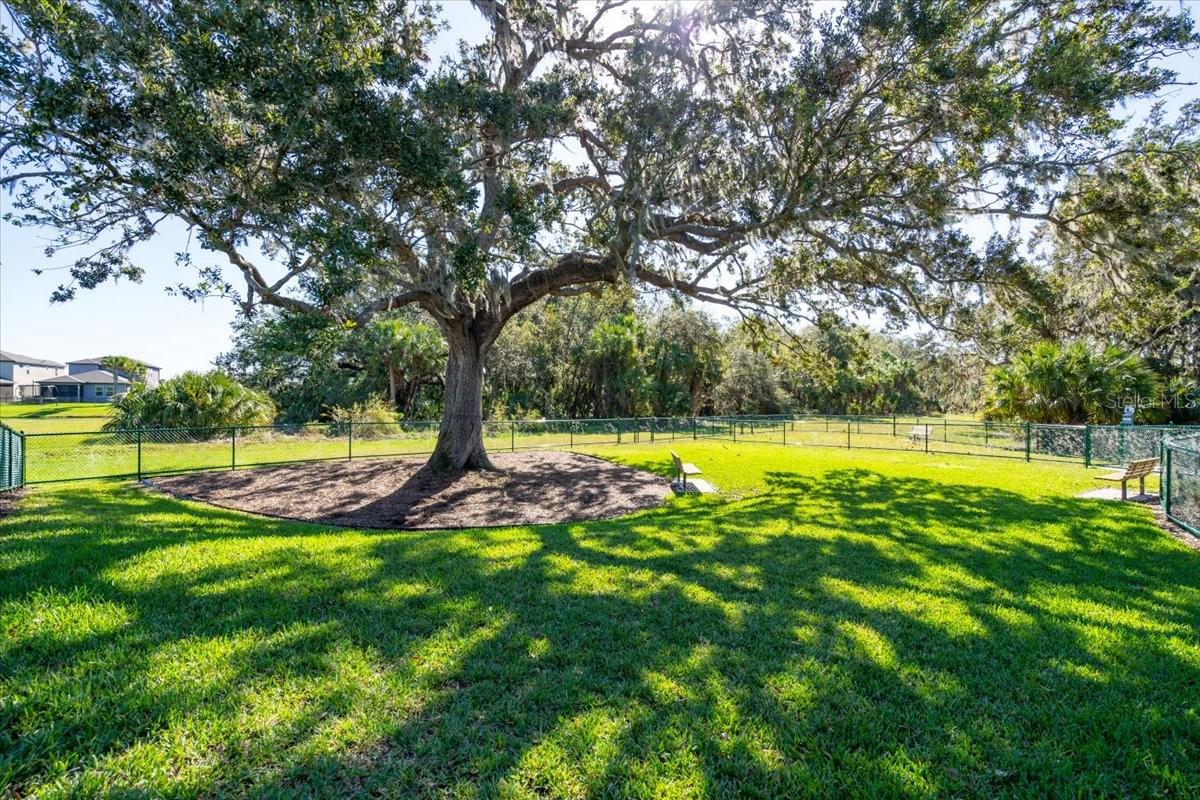 8728 STARRY NIGHT TER, PARRISH, FL — photo 48