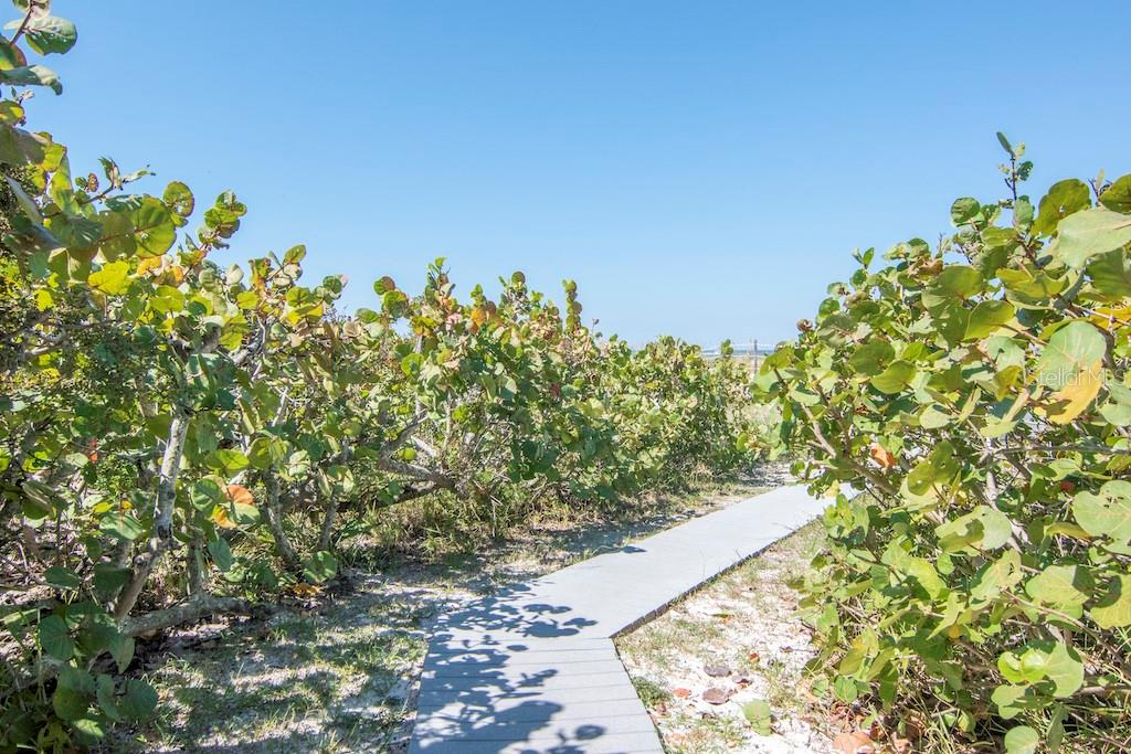 3200 GULF BLVD #103, ST PETE BEACH, FL — photo 40