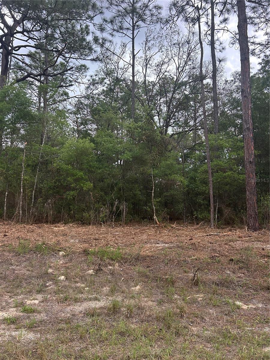 10831 N MATARO AVE, CITRUS SPRINGS, FL