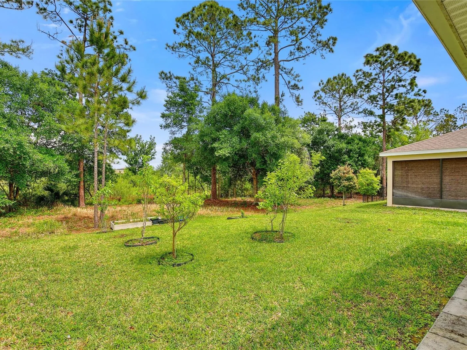 17197 CAGAN CROSSINGS BLVD, CLERMONT, FL — photo 61