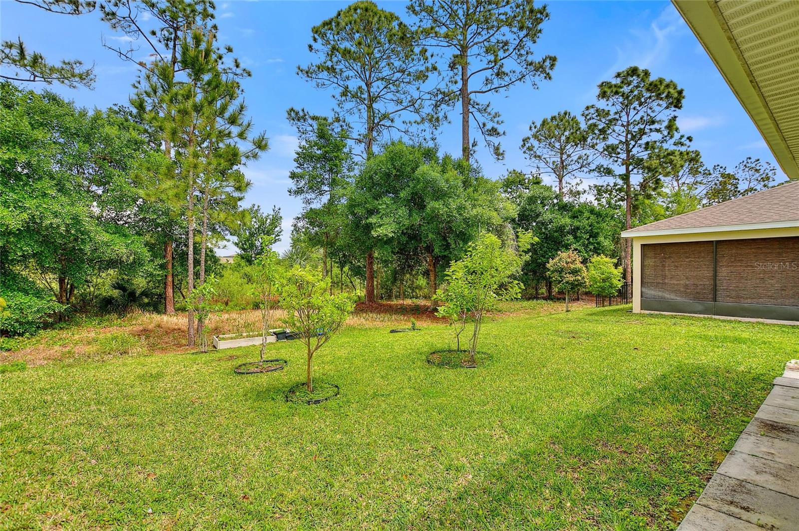 17197 CAGAN CROSSINGS BLVD, CLERMONT, FL — photo 62