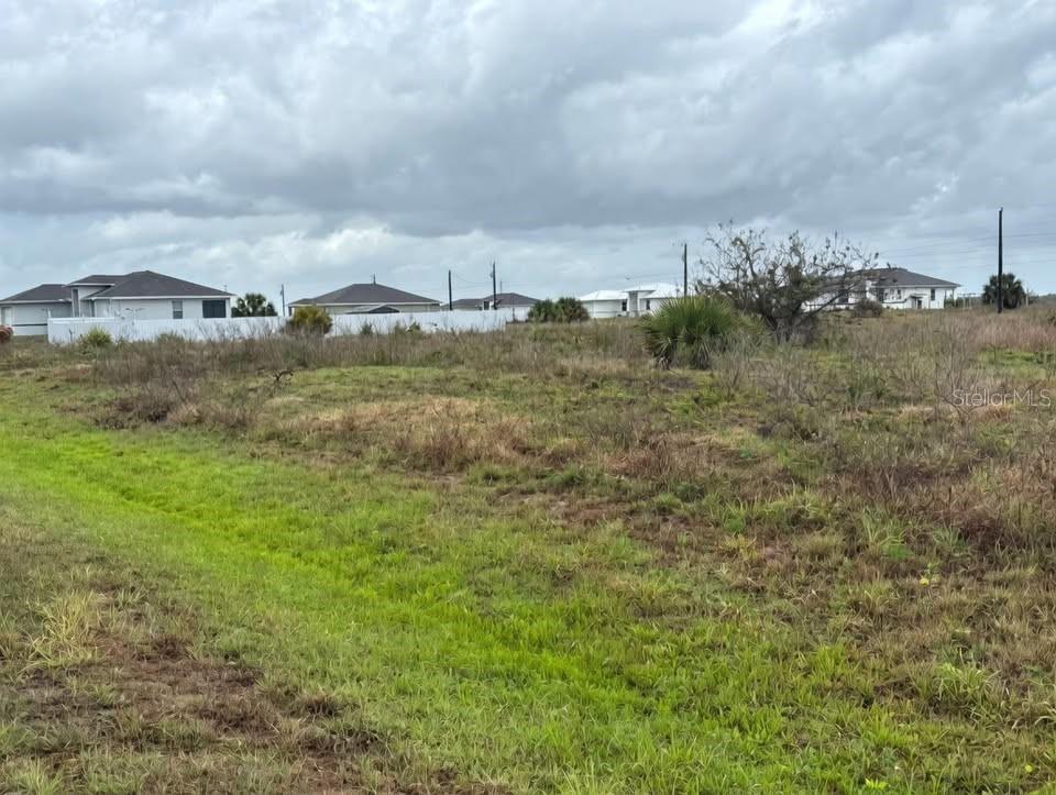 503 BRAELYN ST, LABELLE, FL