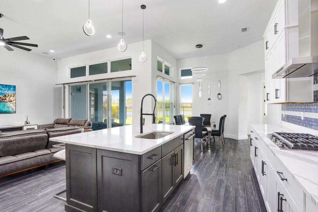 16247 NOVEMBER RAIN CT, LAND O LAKES, FL — photo 16