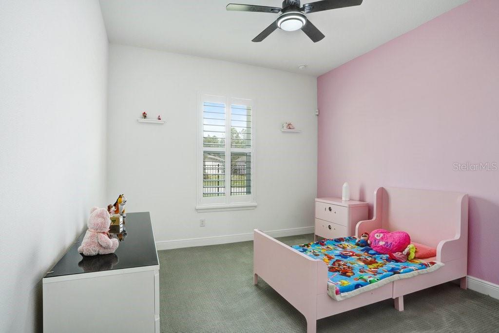 16247 NOVEMBER RAIN CT, LAND O LAKES, FL — photo 28