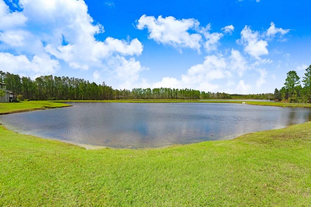 16247 NOVEMBER RAIN CT, LAND O LAKES, FL — photo 38