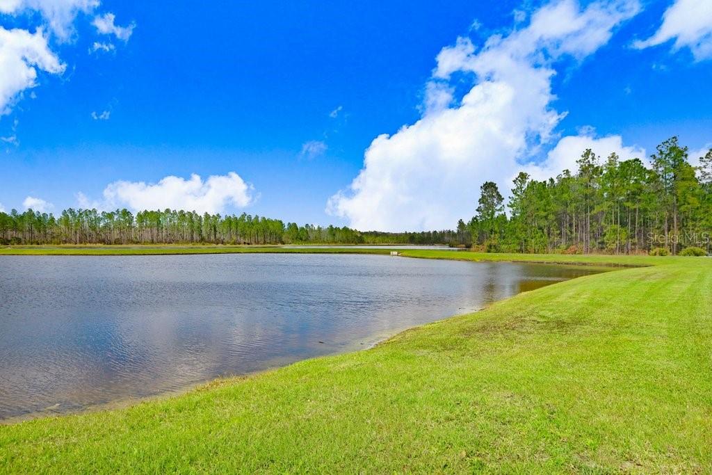 16247 NOVEMBER RAIN CT, LAND O LAKES, FL — photo 39