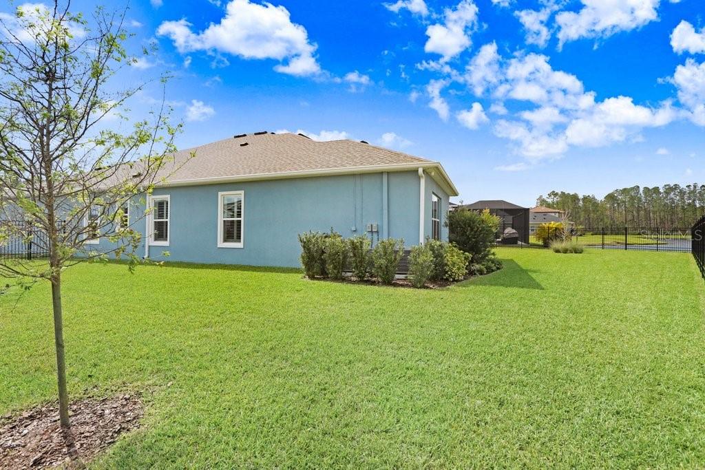 16247 NOVEMBER RAIN CT, LAND O LAKES, FL — photo 41
