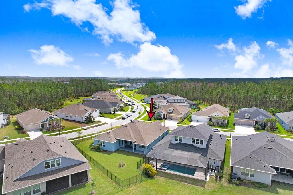 16247 NOVEMBER RAIN CT, LAND O LAKES, FL — photo 47