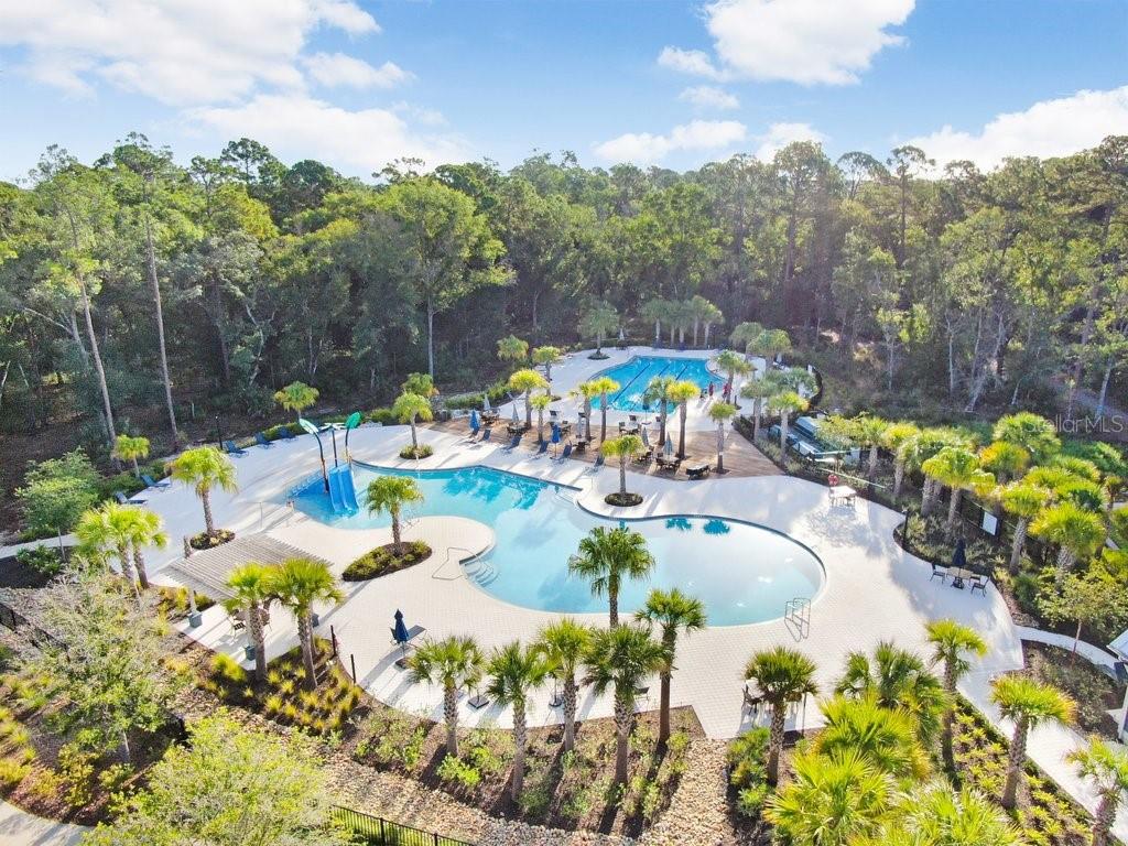 16247 NOVEMBER RAIN CT, LAND O LAKES, FL — photo 56