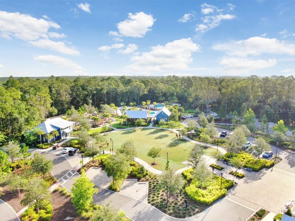 16247 NOVEMBER RAIN CT, LAND O LAKES, FL — photo 57