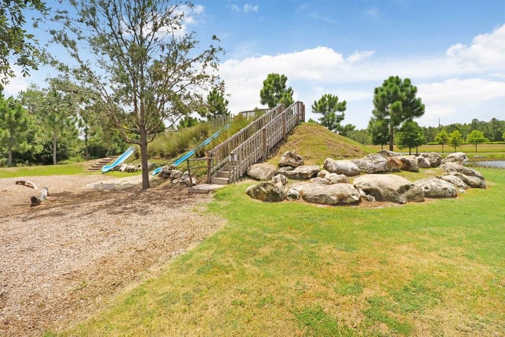 16247 NOVEMBER RAIN CT, LAND O LAKES, FL — photo 62