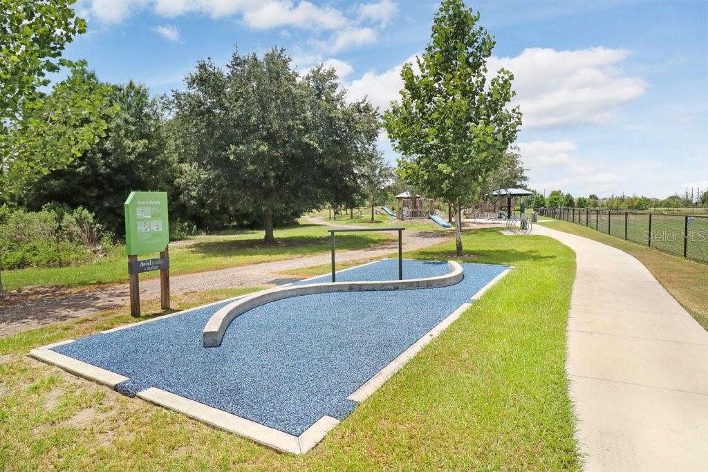 16247 NOVEMBER RAIN CT, LAND O LAKES, FL — photo 65