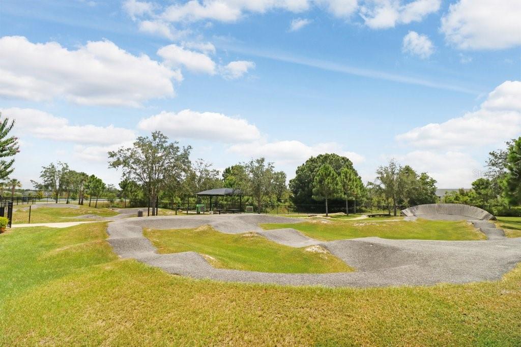 16247 NOVEMBER RAIN CT, LAND O LAKES, FL — photo 66