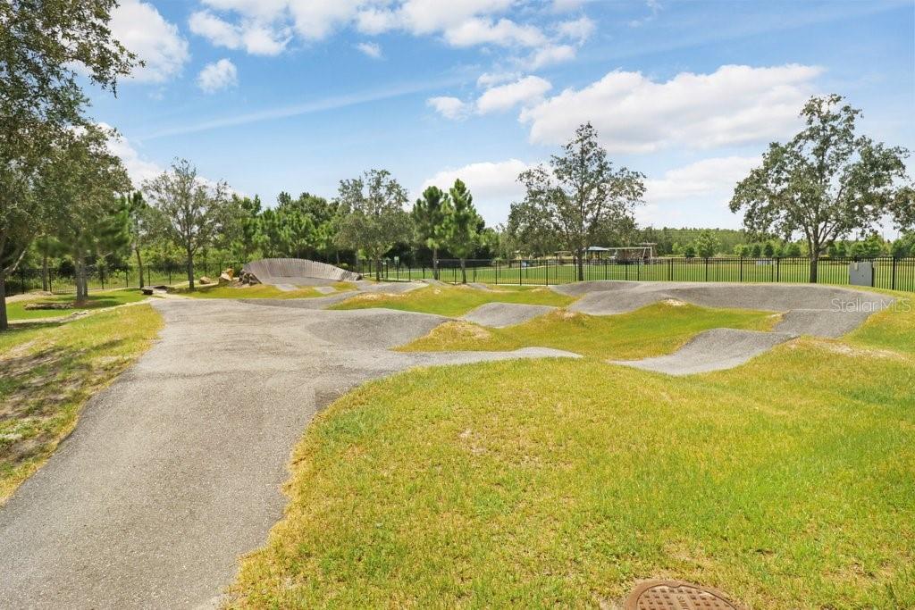 16247 NOVEMBER RAIN CT, LAND O LAKES, FL — photo 67