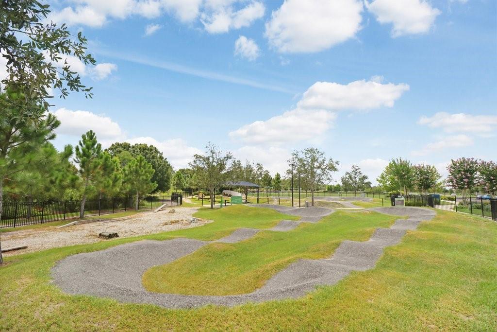 16247 NOVEMBER RAIN CT, LAND O LAKES, FL — photo 68