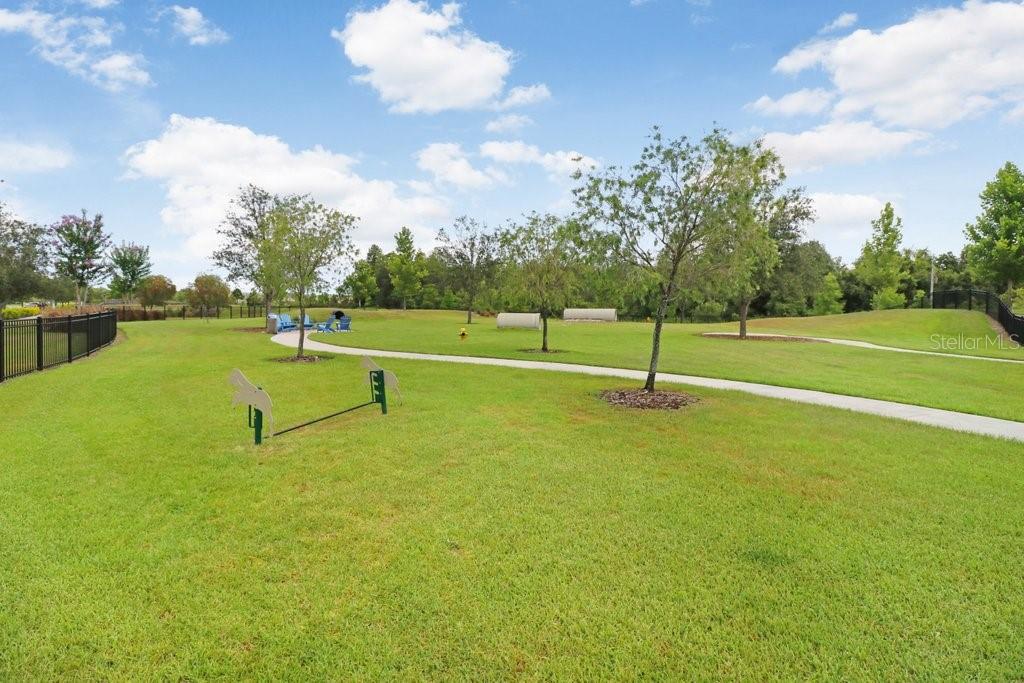 16247 NOVEMBER RAIN CT, LAND O LAKES, FL — photo 73