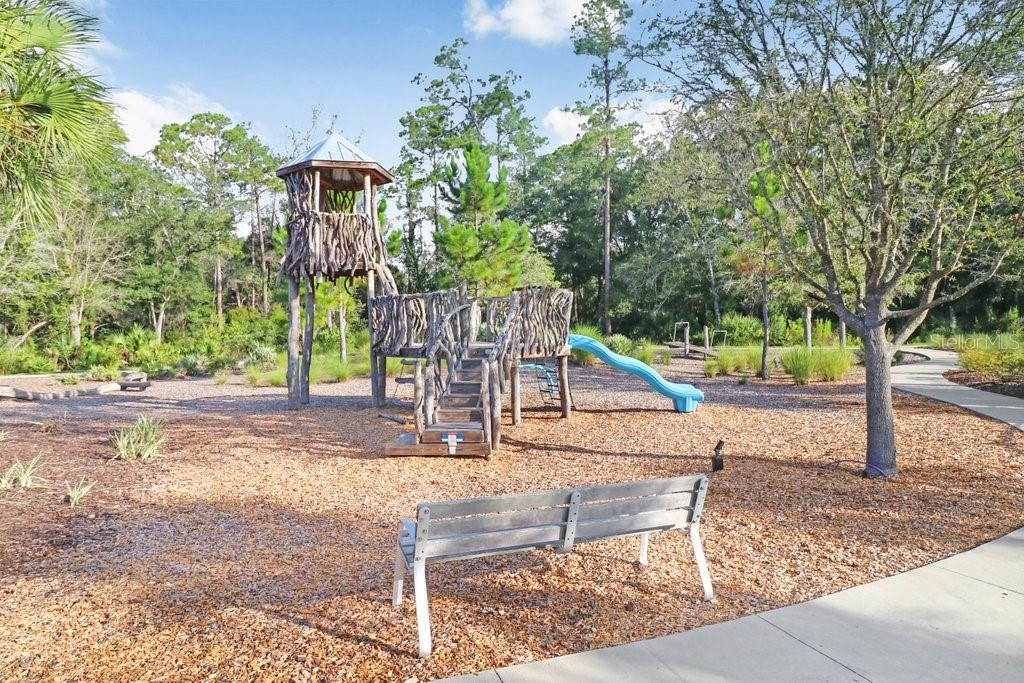 16247 NOVEMBER RAIN CT, LAND O LAKES, FL — photo 77