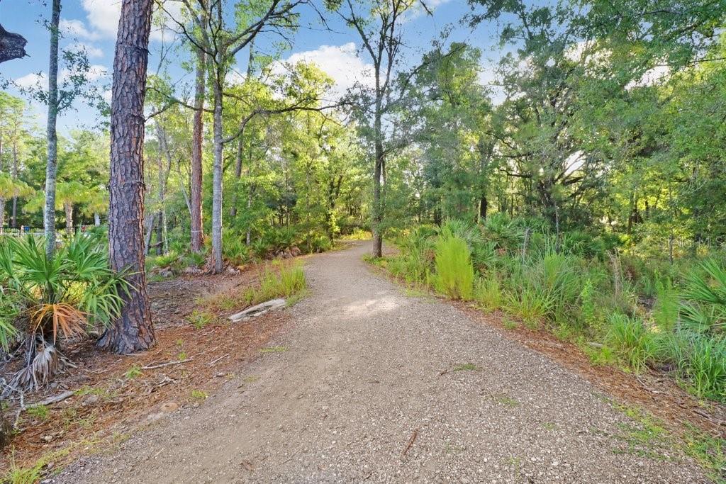 16247 NOVEMBER RAIN CT, LAND O LAKES, FL — photo 83