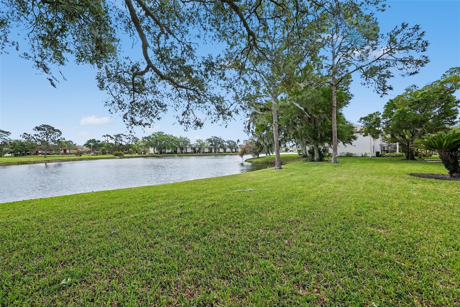 172 LAKEVIEW WAY #172, OLDSMAR, FL — photo 29