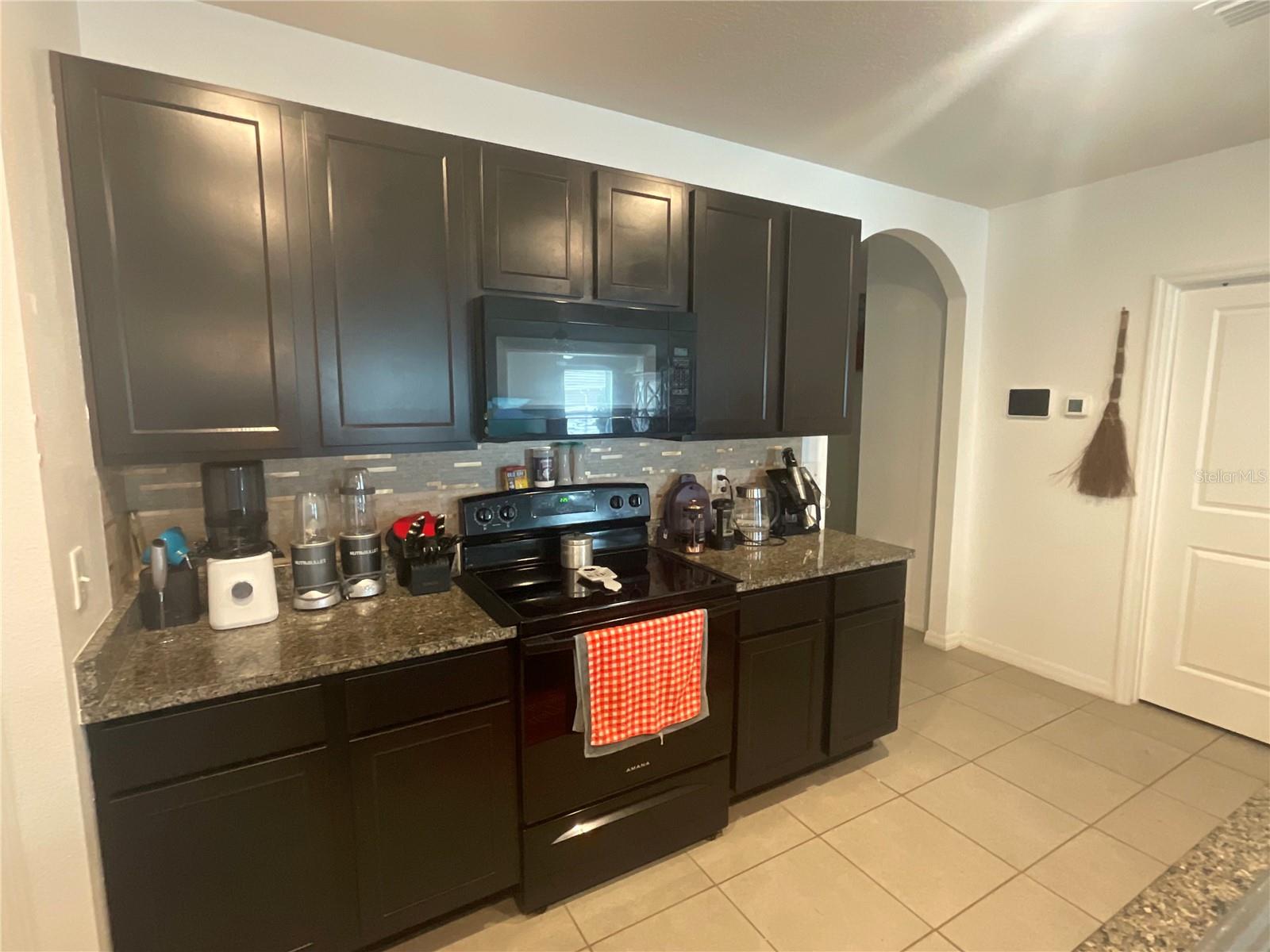 10206 GOLDEN LIGHT CT, RIVERVIEW, FL — photo 9