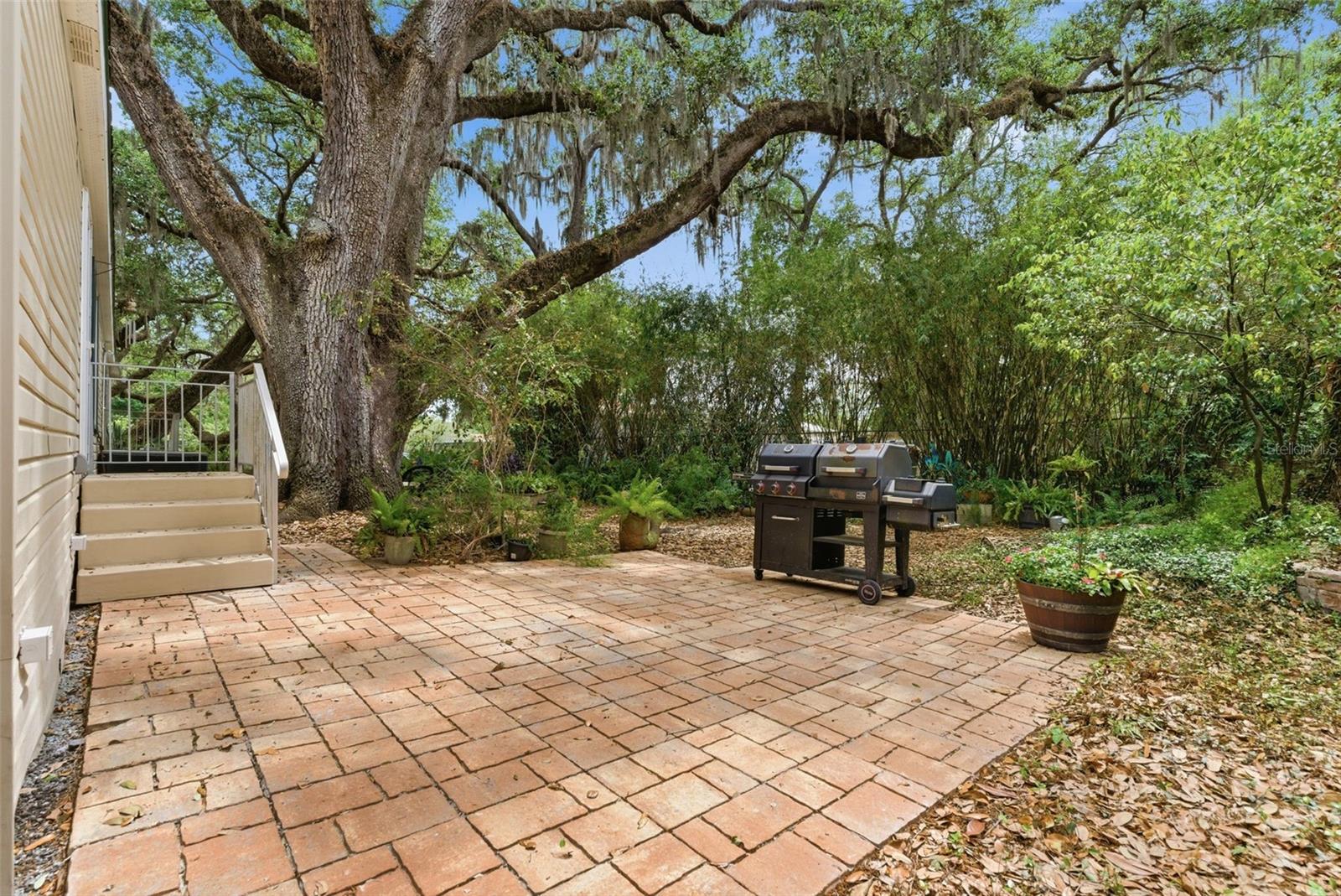9101 WOOD TERRACE DR, TAMPA, FL — photo 3