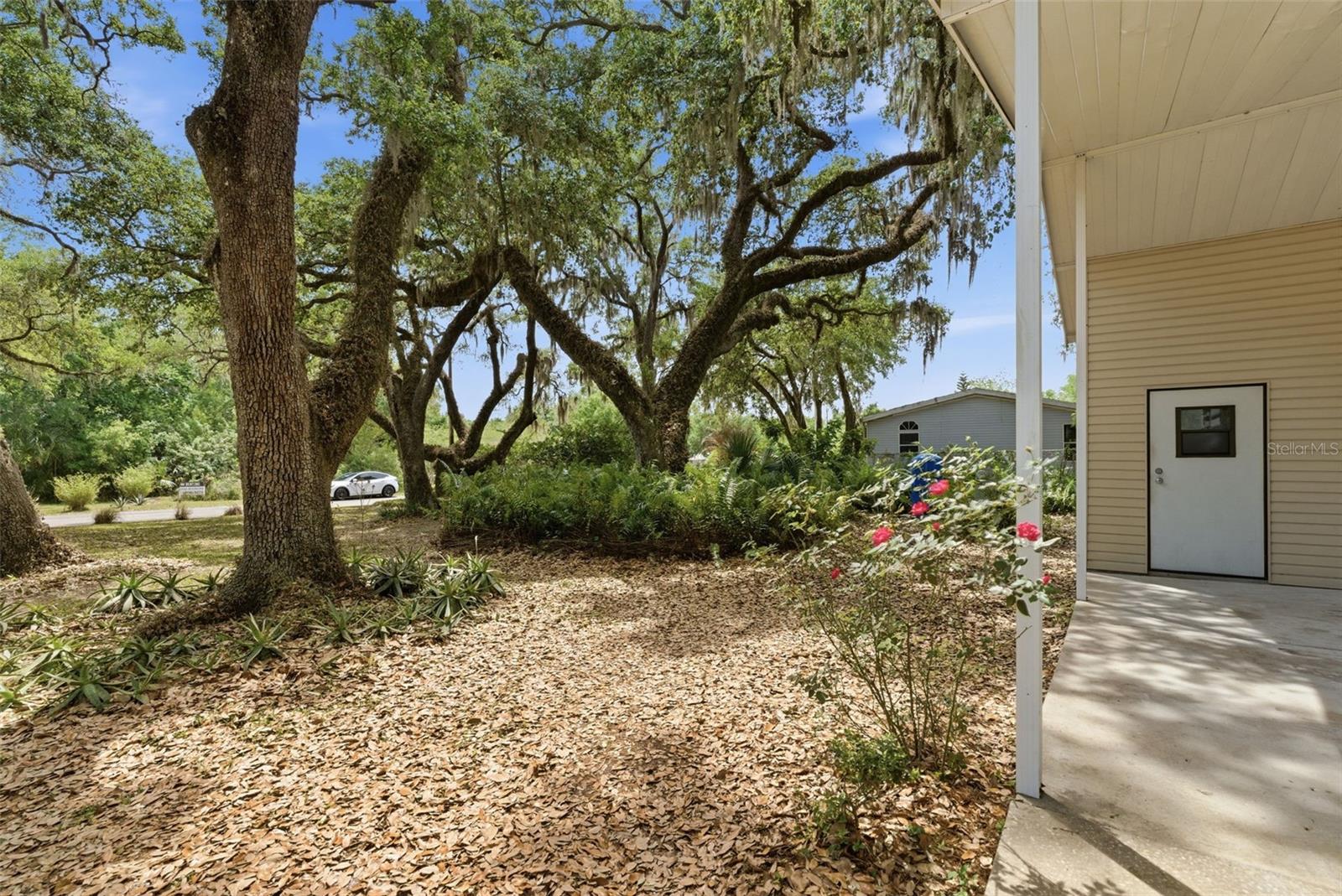 9101 WOOD TERRACE DR, TAMPA, FL — photo 29