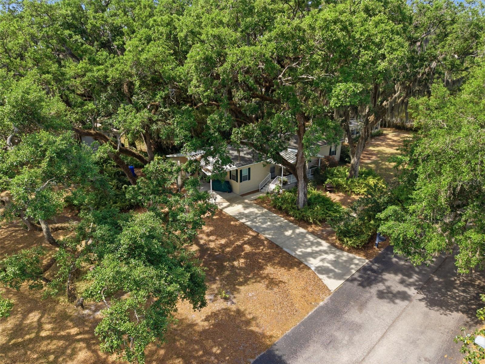9101 WOOD TERRACE DR, TAMPA, FL — photo 30