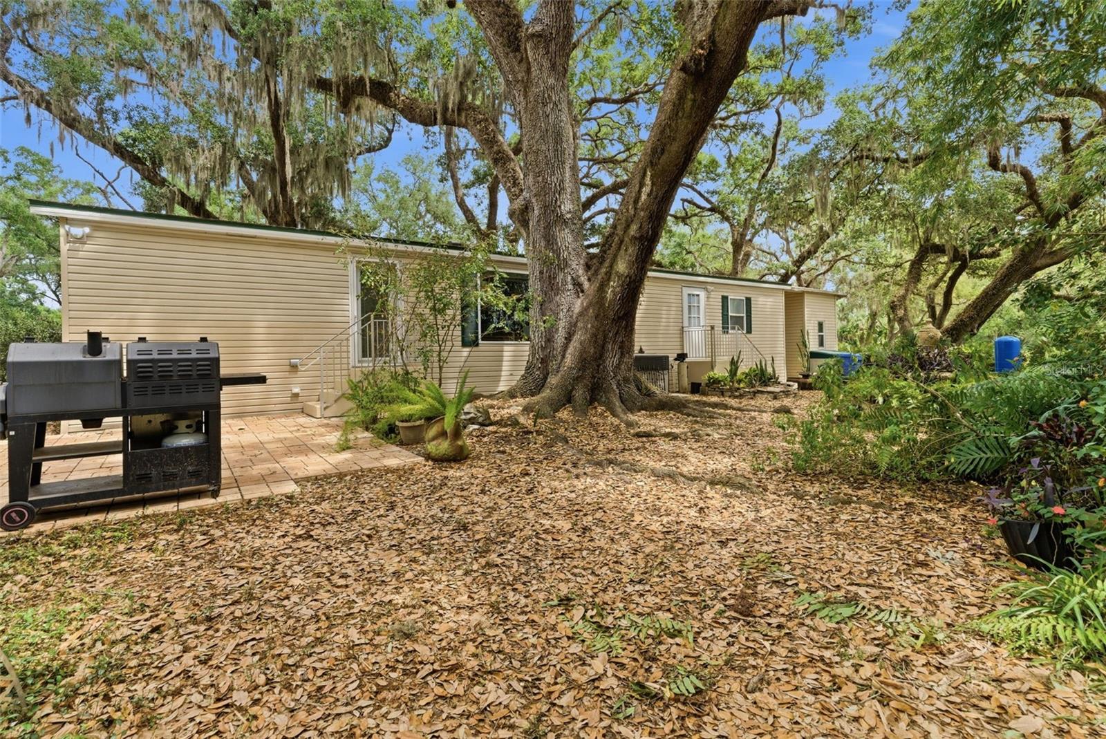9101 WOOD TERRACE DR, TAMPA, FL — photo 36