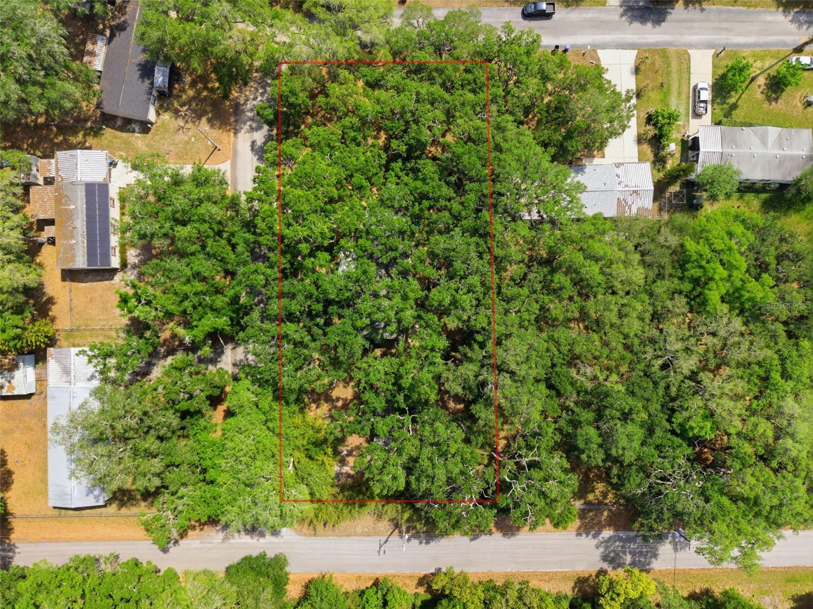 9101 WOOD TERRACE DR, TAMPA, FL — photo 39