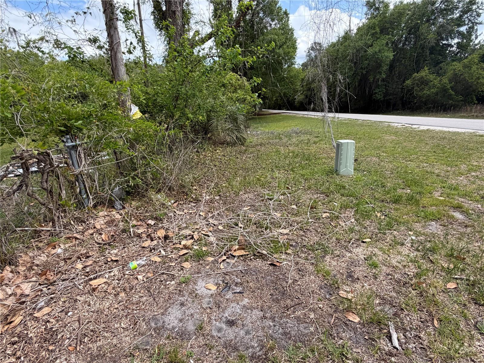 10033 SW COUNTY ROAD 225, STARKE, FL — photo 7