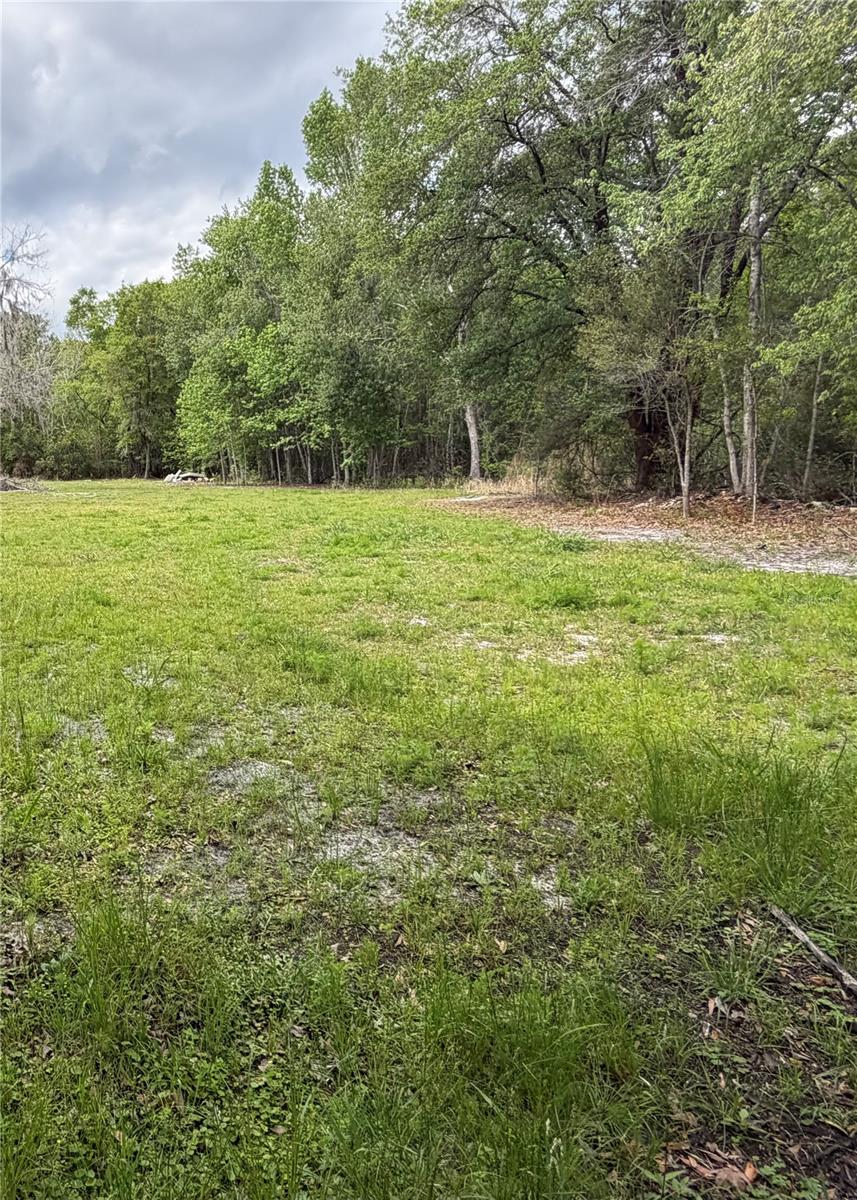 10033 SW COUNTY ROAD 225, STARKE, FL — photo 10
