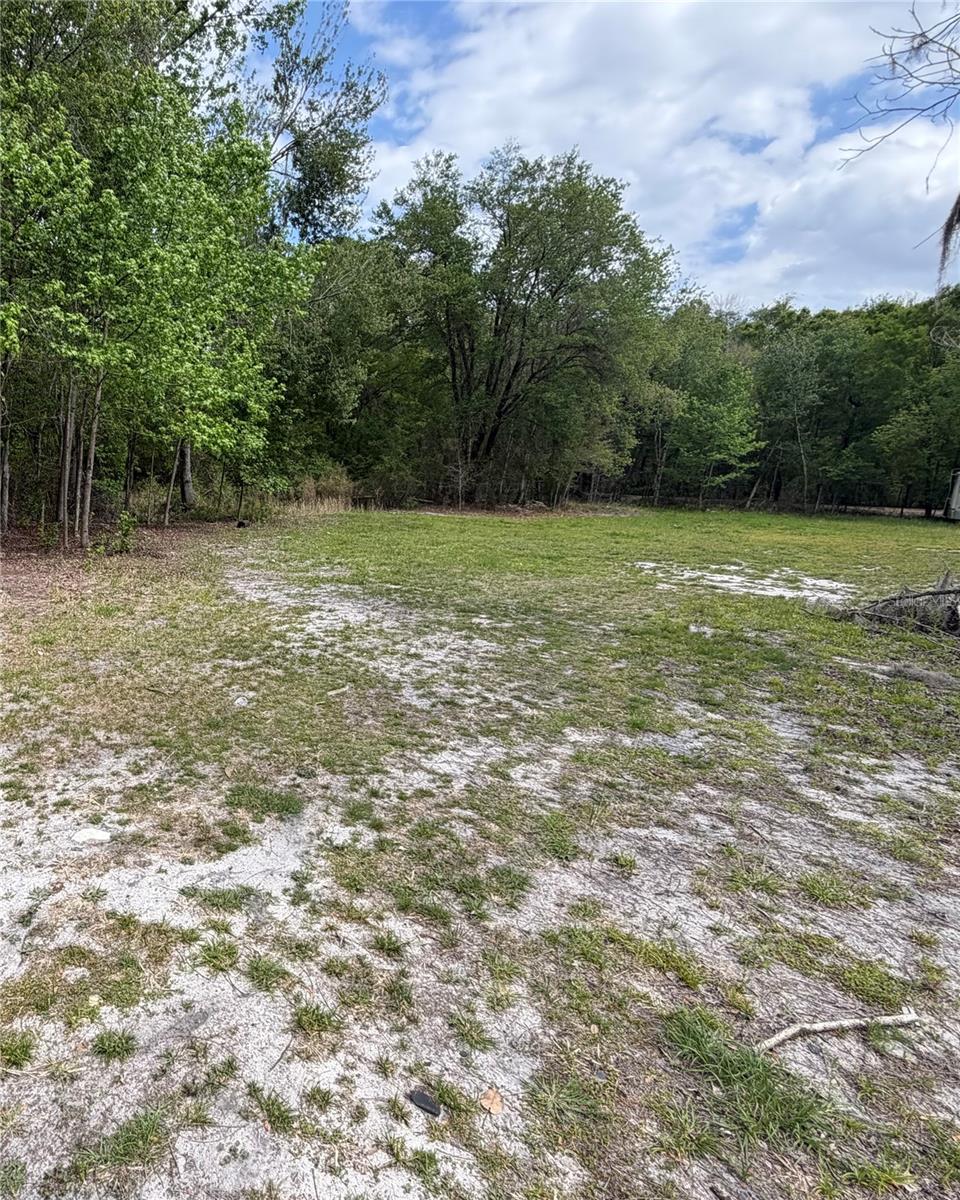 10033 SW COUNTY ROAD 225, STARKE, FL — photo 11